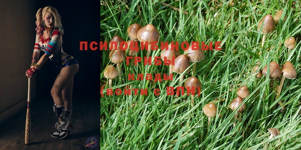 прущая мука Лихославль