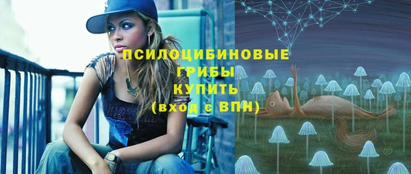 гидра Лиски