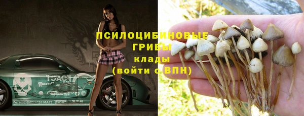 гидра Лиски