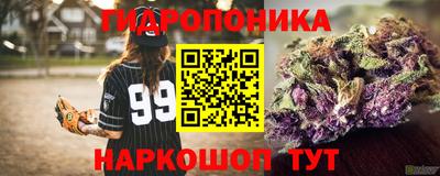 скорость Жуковский