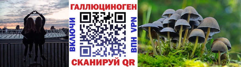 Псилоцибиновые грибы GOLDEN TEACHER  Уфа 