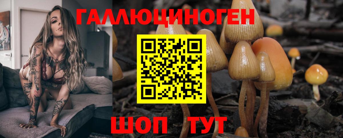 Галлюциногенные грибы ЛСД Уфа