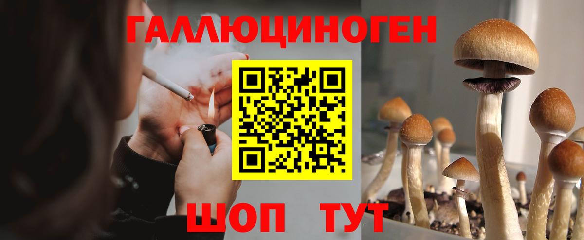 где найти   Вход с VPN  Уфа  Псилоцибиновые грибы GOLDEN TEACHER 